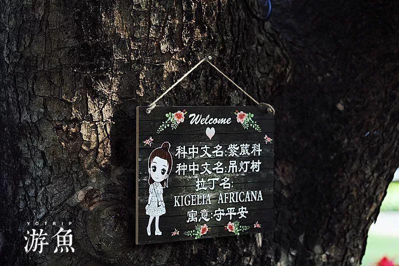 轩辕剑6
